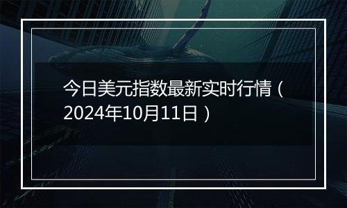 今日美元指数最新实时行情（2024年10月11日）