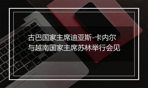 古巴国家主席迪亚斯-卡内尔与越南国家主席苏林举行会见