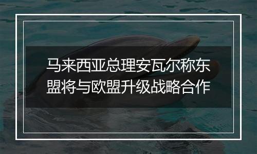 马来西亚总理安瓦尔称东盟将与欧盟升级战略合作