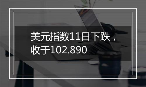 美元指数11日下跌，收于102.890