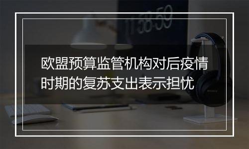 欧盟预算监管机构对后疫情时期的复苏支出表示担忧