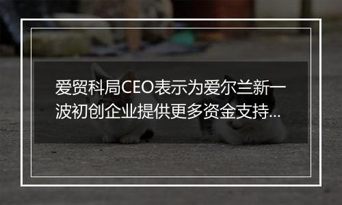 爱贸科局CEO表示为爱尔兰新一波初创企业提供更多资金支持将有助于它们与跨国公司竞争