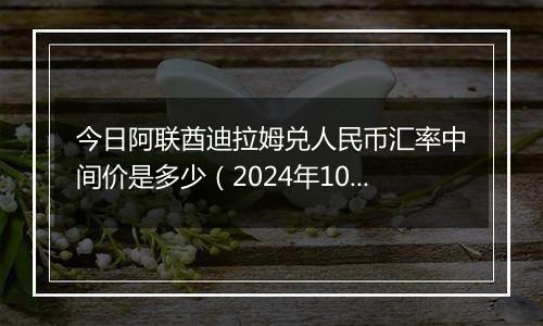 今日阿联酋迪拉姆兑人民币汇率中间价是多少（2024年10月12日）