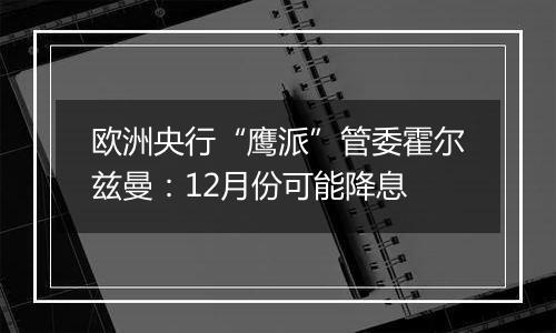 欧洲央行“鹰派”管委霍尔兹曼：12月份可能降息