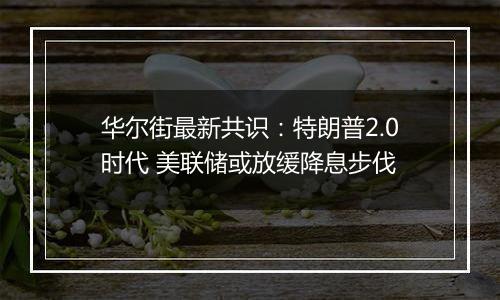 华尔街最新共识：特朗普2.0时代 美联储或放缓降息步伐