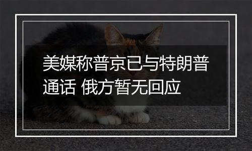 美媒称普京已与特朗普通话 俄方暂无回应