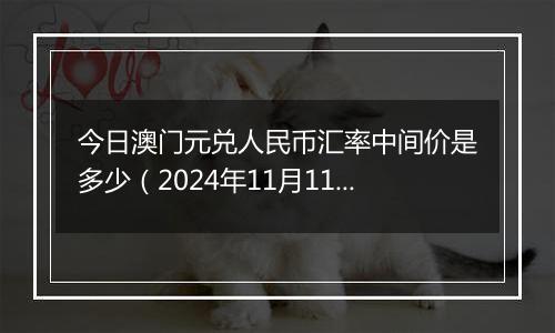 今日澳门元兑人民币汇率中间价是多少（2024年11月11日）