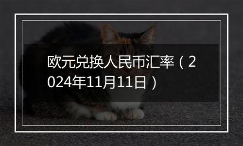 欧元兑换人民币汇率（2024年11月11日）