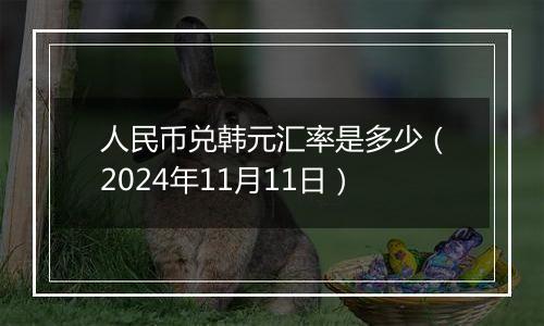 人民币兑韩元汇率是多少（2024年11月11日）