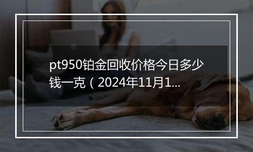 pt950铂金回收价格今日多少钱一克（2024年11月11日）