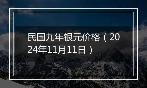 民国九年银元价格（2024年11月11日）