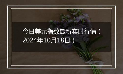 今日美元指数最新实时行情（2024年10月18日）