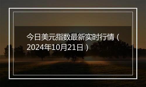 今日美元指数最新实时行情（2024年10月21日）