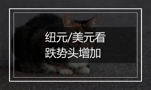 纽元/美元看跌势头增加