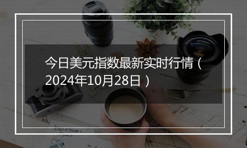 今日美元指数最新实时行情（2024年10月28日）