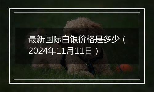 最新国际白银价格是多少（2024年11月11日）