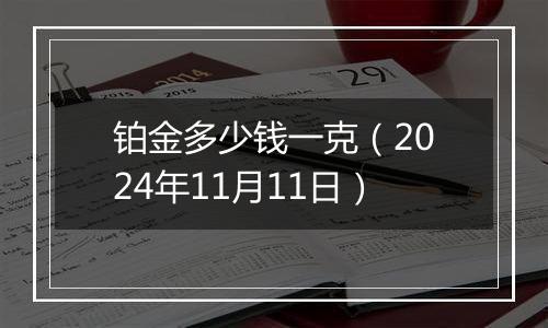 铂金多少钱一克（2024年11月11日）