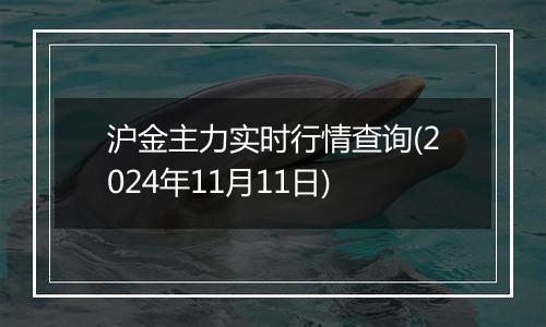 沪金主力实时行情查询(2024年11月11日)