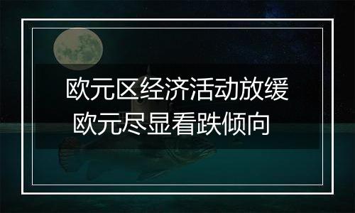 欧元区经济活动放缓 欧元尽显看跌倾向