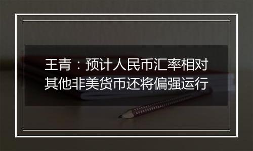 王青：预计人民币汇率相对其他非美货币还将偏强运行