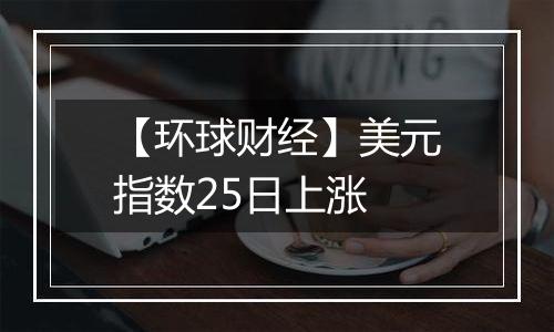 【环球财经】美元指数25日上涨