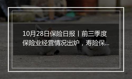 10月28日保险日报丨前三季度保险业经营情况出炉，寿险保费短期高增，“长钱”释放加快入市信号