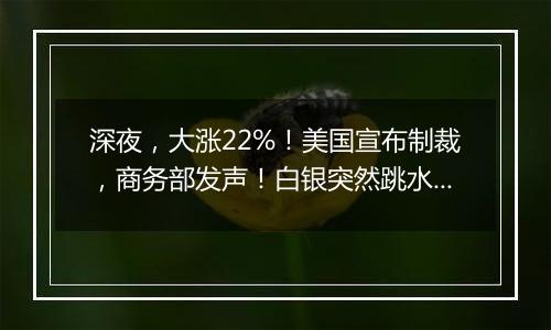 深夜，大涨22%！美国宣布制裁，商务部发声！白银突然跳水，释放什么信号