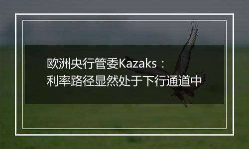 欧洲央行管委Kazaks：利率路径显然处于下行通道中