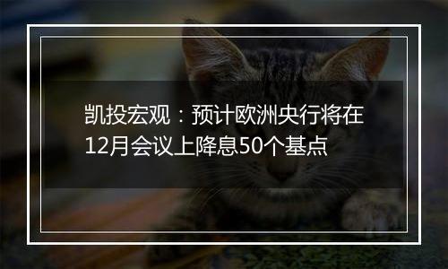 凯投宏观：预计欧洲央行将在12月会议上降息50个基点