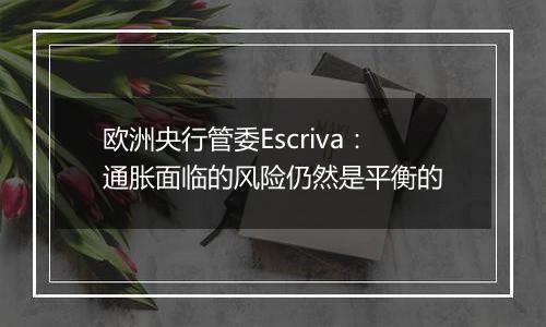 欧洲央行管委Escriva：通胀面临的风险仍然是平衡的