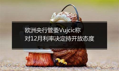 欧洲央行管委Vujcic称对12月利率决定持开放态度