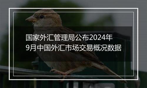 国家外汇管理局公布2024年9月中国外汇市场交易概况数据