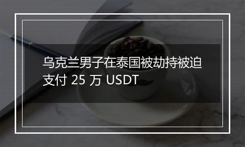 乌克兰男子在泰国被劫持被迫支付 25 万 USDT