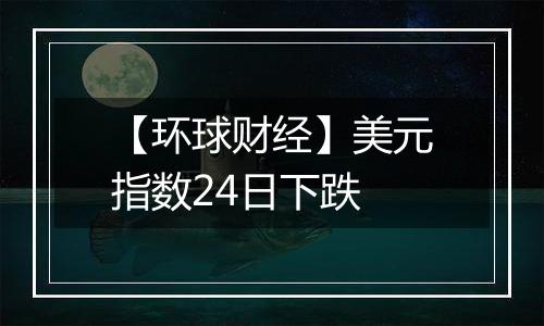 【环球财经】美元指数24日下跌