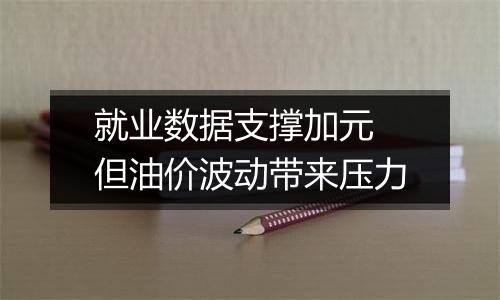 就业数据支撑加元 但油价波动带来压力