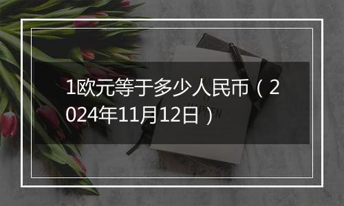 1欧元等于多少人民币（2024年11月12日）