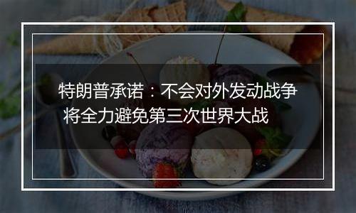 特朗普承诺：不会对外发动战争 将全力避免第三次世界大战