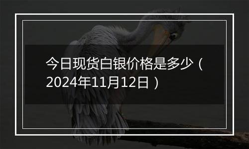 今日现货白银价格是多少（2024年11月12日）