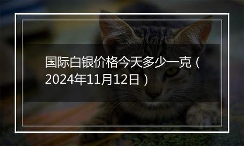 国际白银价格今天多少一克（2024年11月12日）