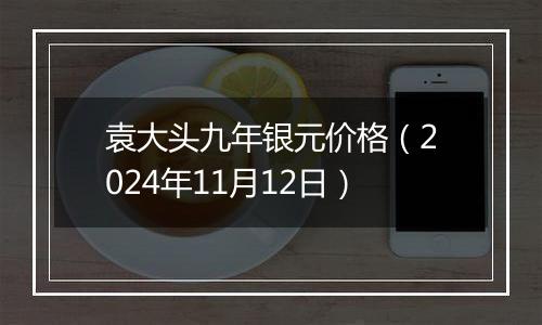 袁大头九年银元价格（2024年11月12日）