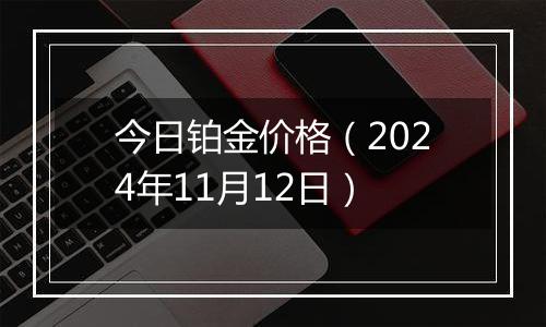 今日铂金价格（2024年11月12日）