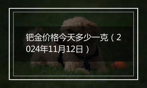 钯金价格今天多少一克（2024年11月12日）