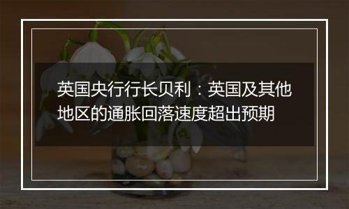 英国央行行长贝利：英国及其他地区的通胀回落速度超出预期