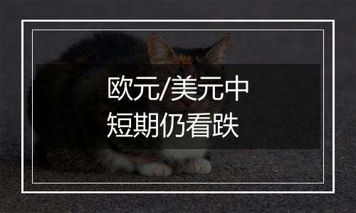 欧元/美元中短期仍看跌