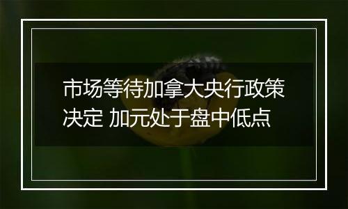 市场等待加拿大央行政策决定 加元处于盘中低点