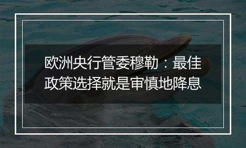 欧洲央行管委穆勒：最佳政策选择就是审慎地降息