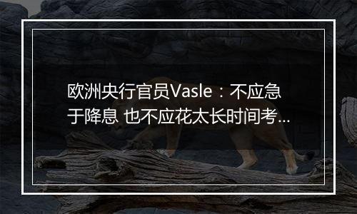 欧洲央行官员Vasle：不应急于降息 也不应花太长时间考虑降息幅度