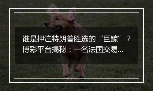 谁是押注特朗普胜选的“巨鲸”？博彩平台揭秘：一名法国交易员