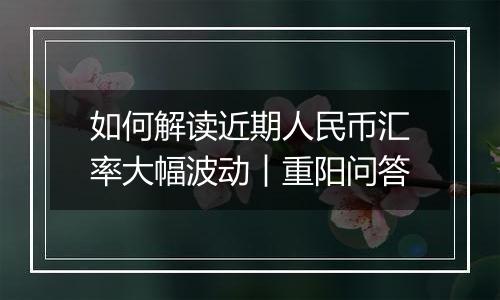 如何解读近期人民币汇率大幅波动︱重阳问答