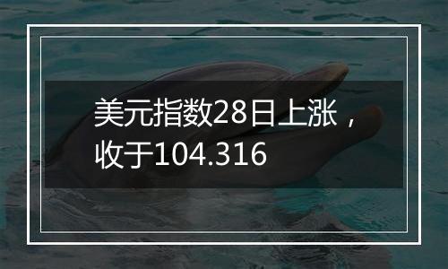 美元指数28日上涨，收于104.316